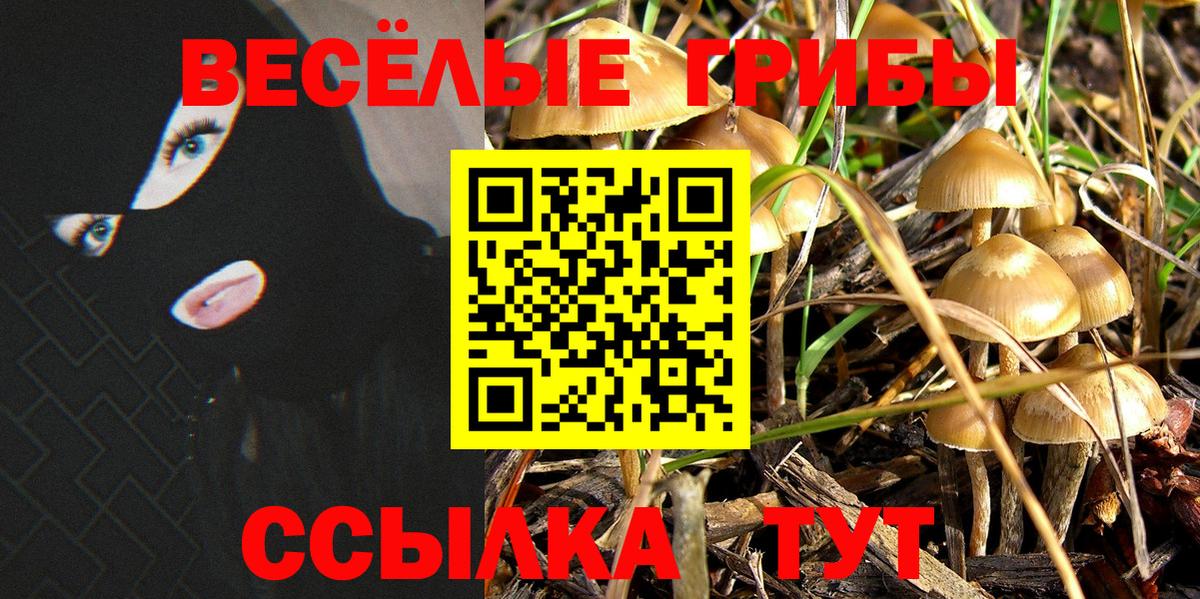 Псилоцибиновые грибы Cubensis  Вход с VPN  Тобольск 
